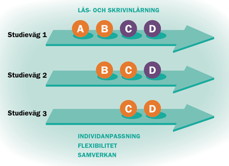 Studievägar sfi