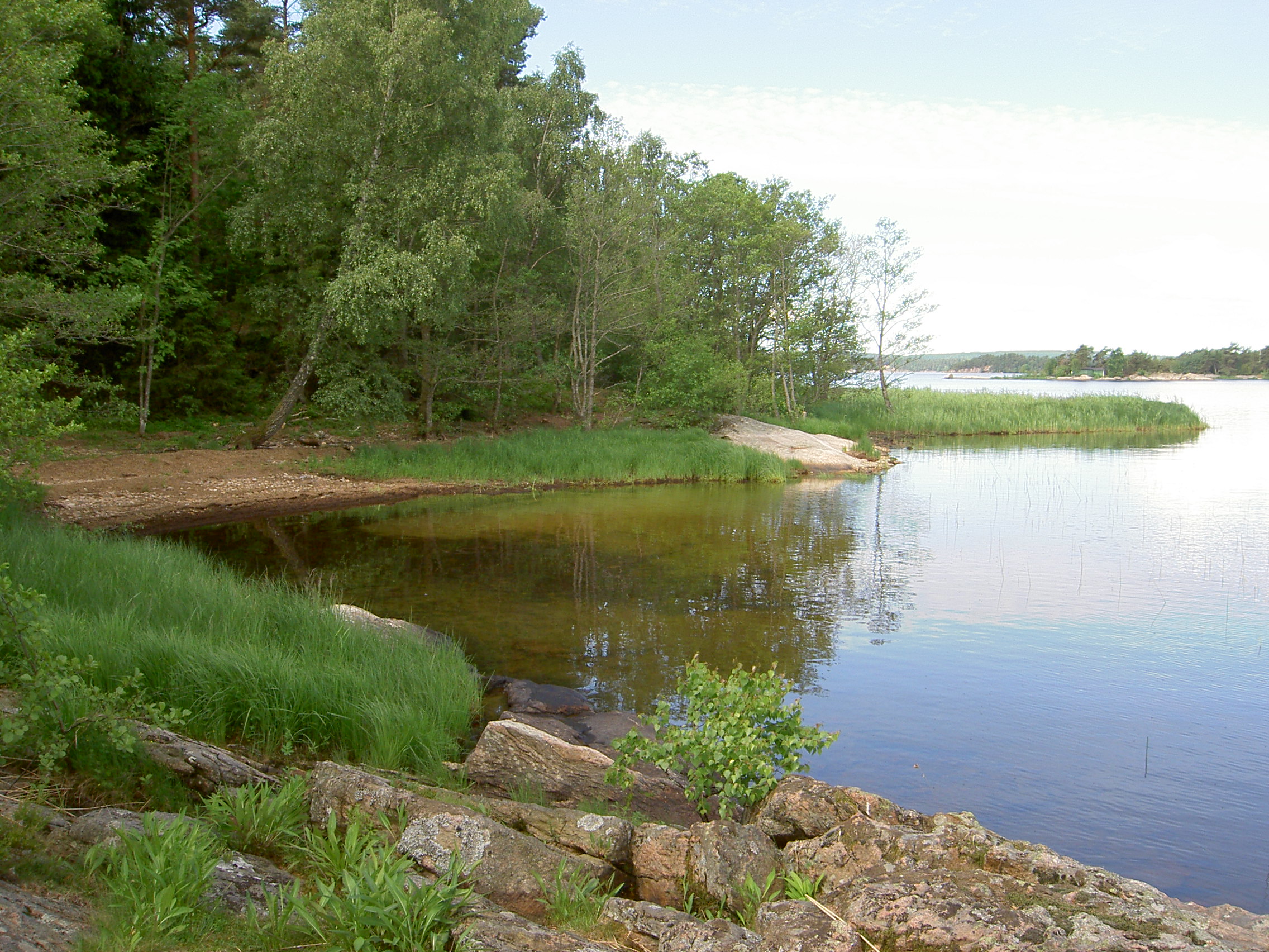 Naturscen från Risön i sjön Mjörn. Vid strandkanten syns stora stenar och grönt gräs. Längs vattenbrynet växer björkar och barrträd, och vattnet speglar sig stilla med en liten vik som sträcker sig in mot stranden. I bakgrunden skymtar vassruggar och mer strandlinje.