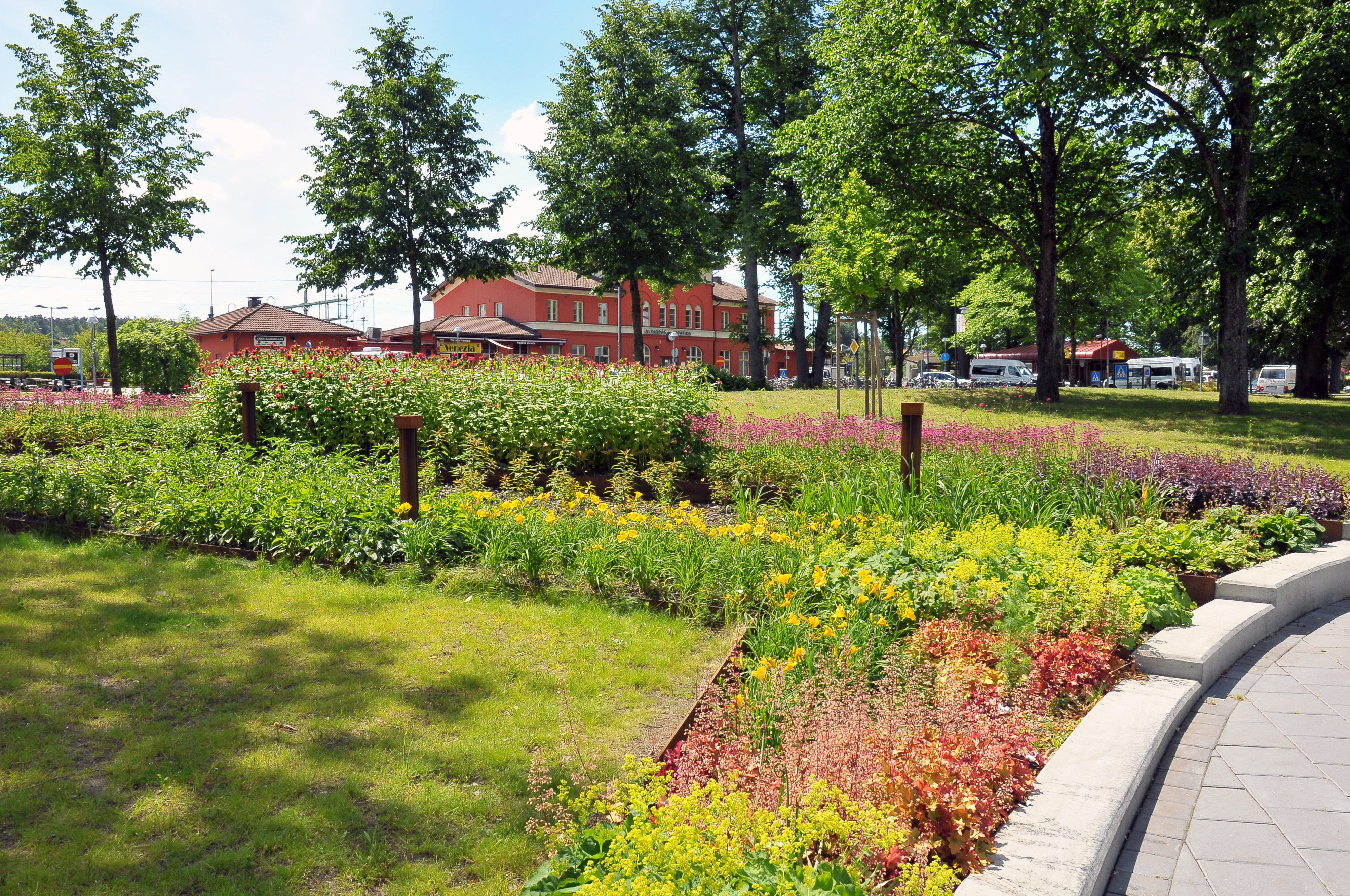 Plantering i åmanska parken