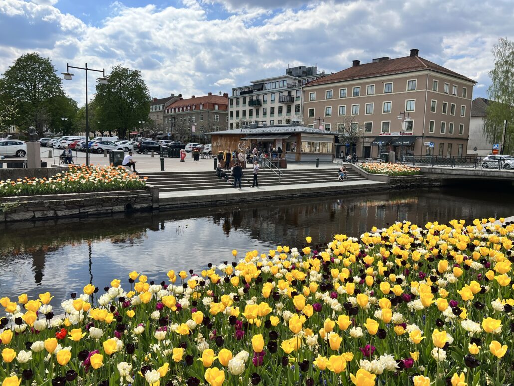 Vårplanteringar vid Lillån i Alingsås stadskärna.