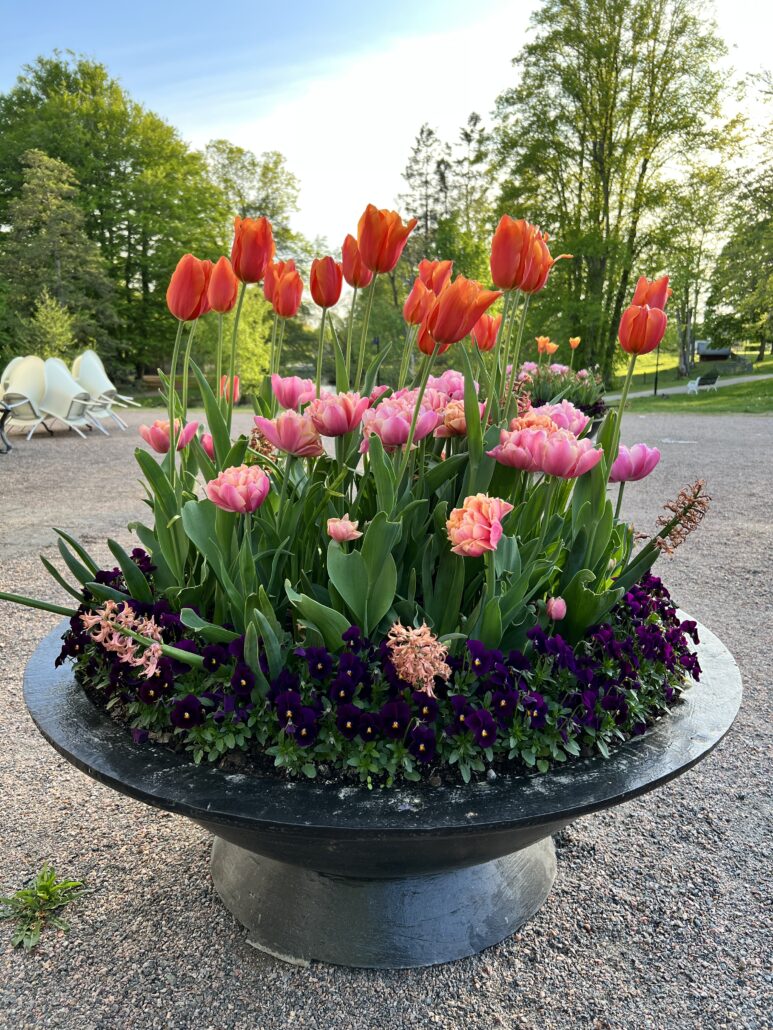 Jeremy Dean gjutärnskärl med blomsterarrangemang i Alingsås stadskärna.