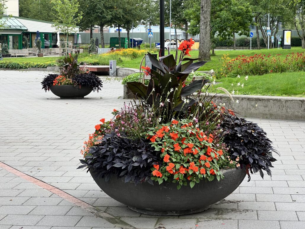 Engla betongkärl med blomsterarrangemang i Alingsås stadskärna.