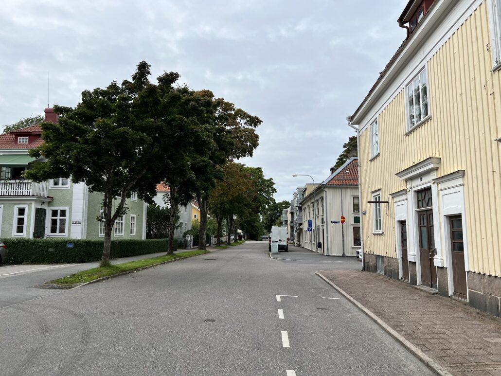 Södra Ringgatan i Alingsås med trä- och stenfasadshus. Träd står längs med gatan.