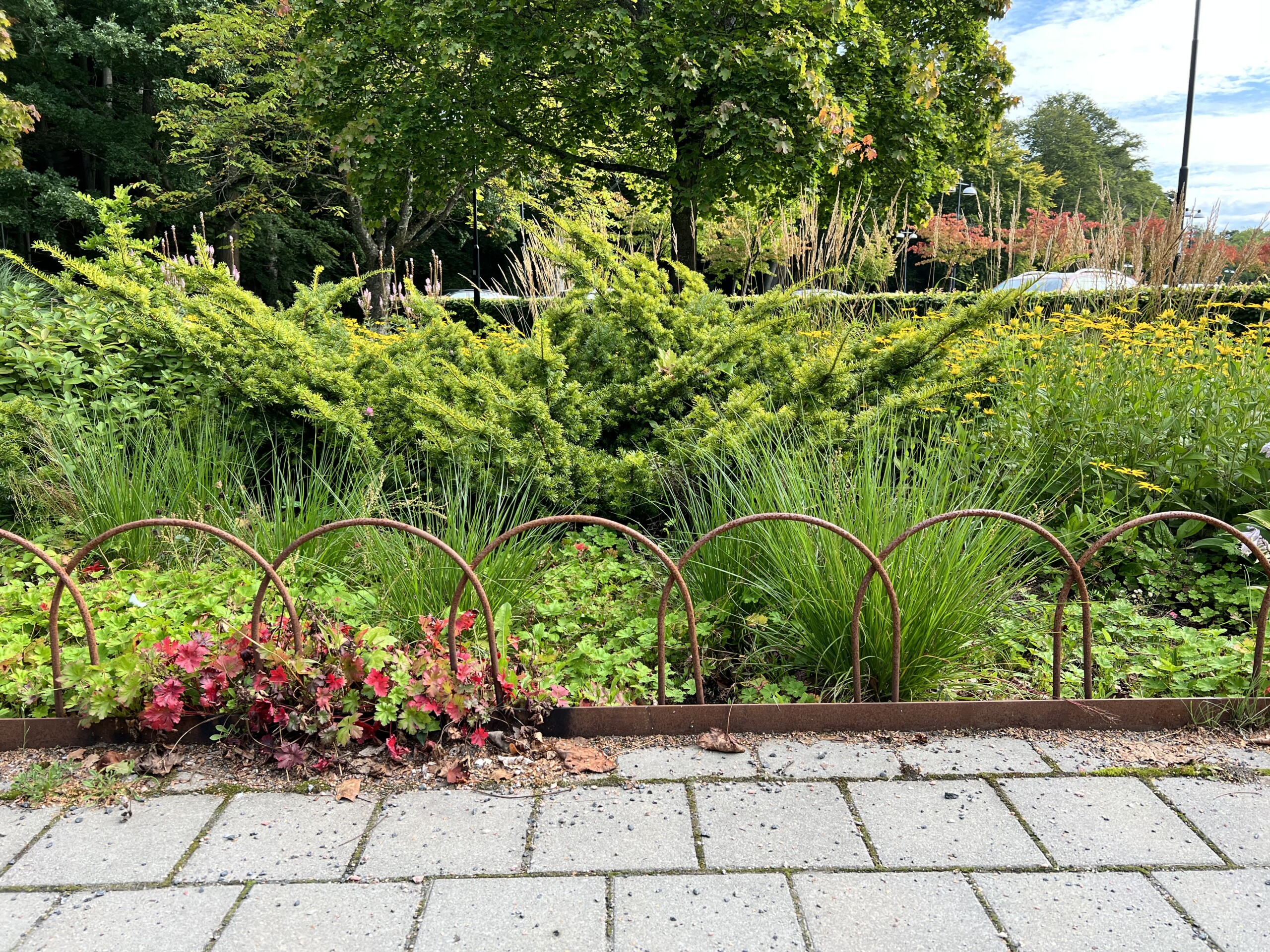 Planteringsskydd i rundstång runt grönskande plantering i Alingsås stadskärna.